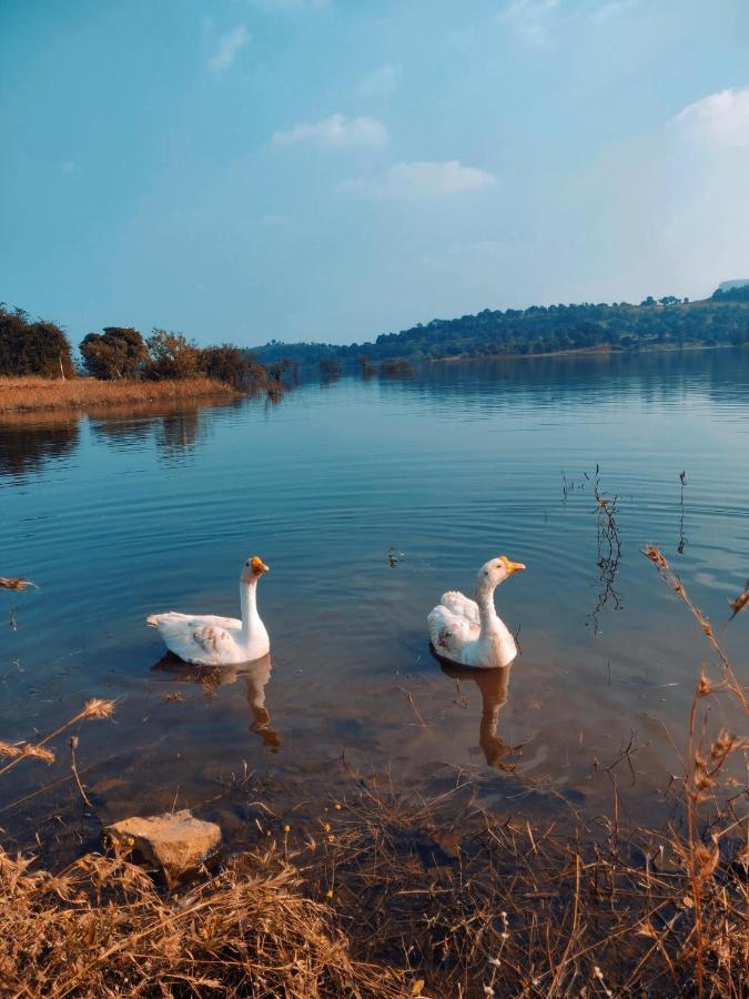 איגטפורי Mountain N Lake Resort מראה חיצוני תמונה